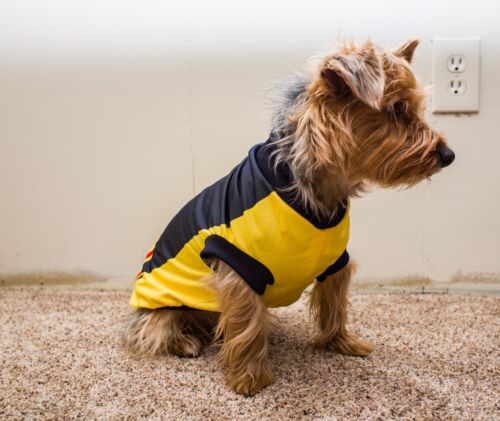  Dog Jerseys | Celebrate Mexico’s Spirit with Style and Comfort