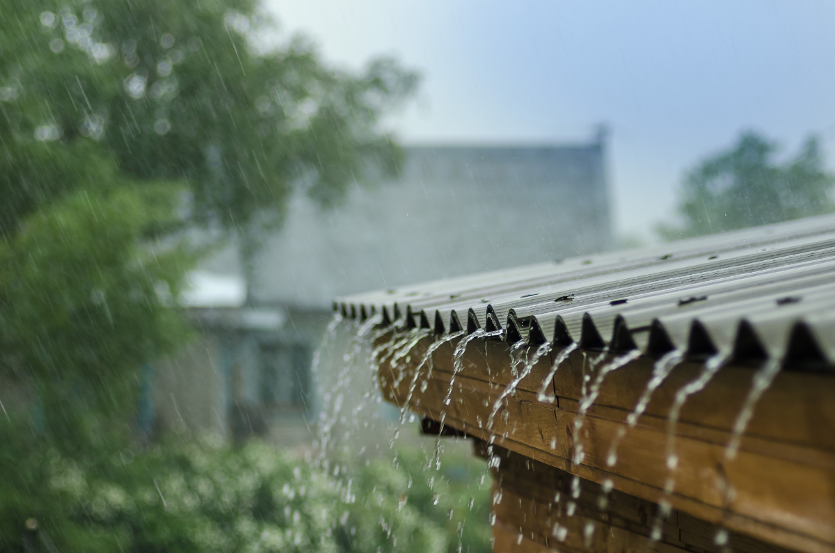 Rainwater Harvesting: A Beginner’s Guide for Homeowners