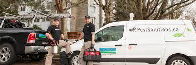  Pest Control Service Provider North Vancouver: Discover the Top Rated Pest Control Services in the Area